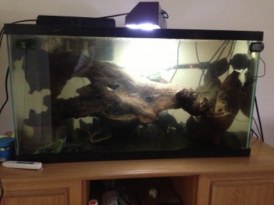 Tank.JPG (1.74 MiB) Viewed 13489 times Without the flash