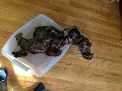 Wood.JPG (2.47 MiB) Viewed 13328 times I love the pockets it has and my babies seem to love them too :)