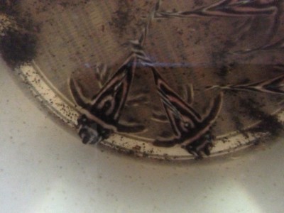 photo (3).JPG (1.5 MiB) Viewed 11890 times Left